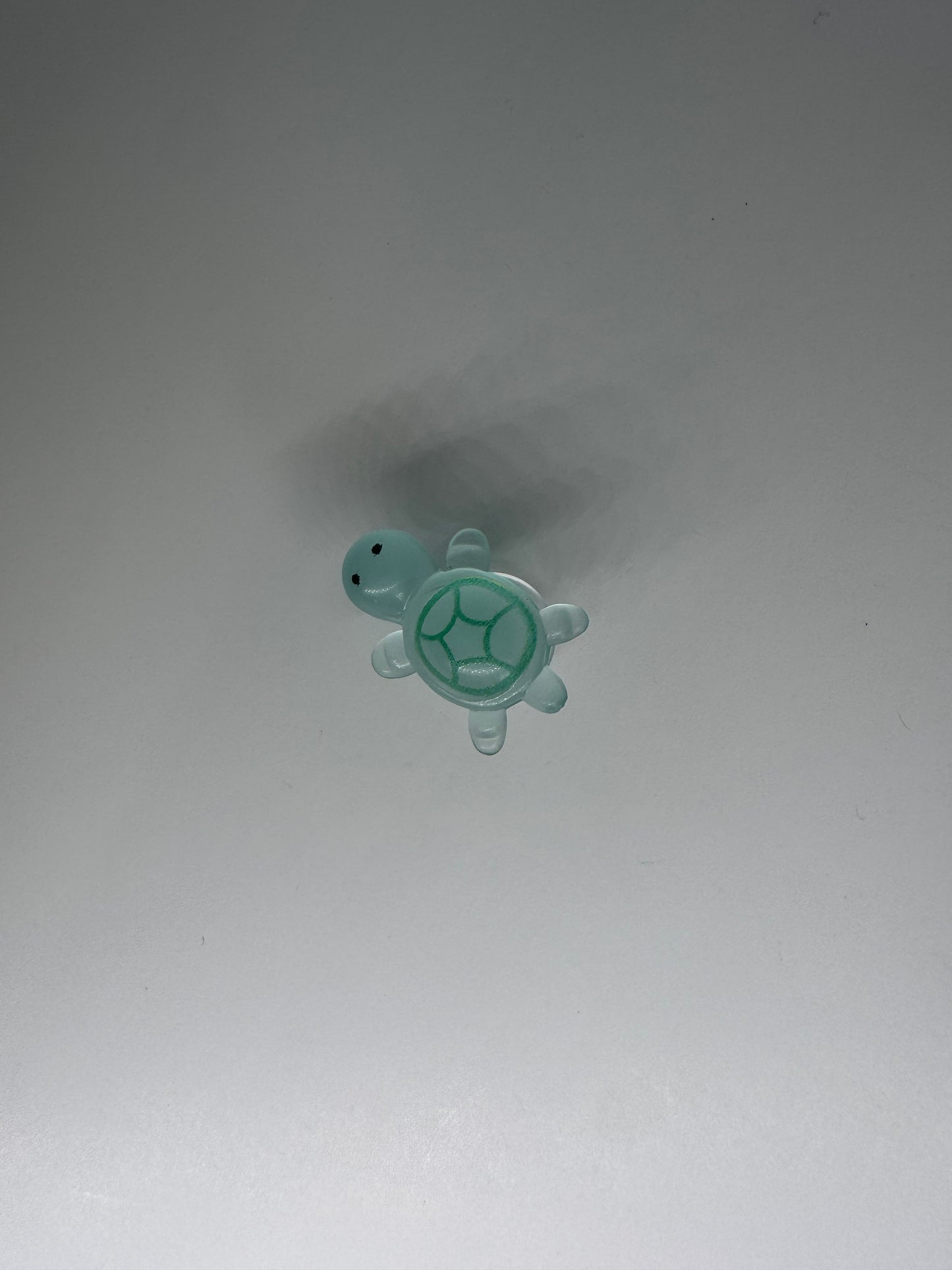 Glow in the Dark Turtle