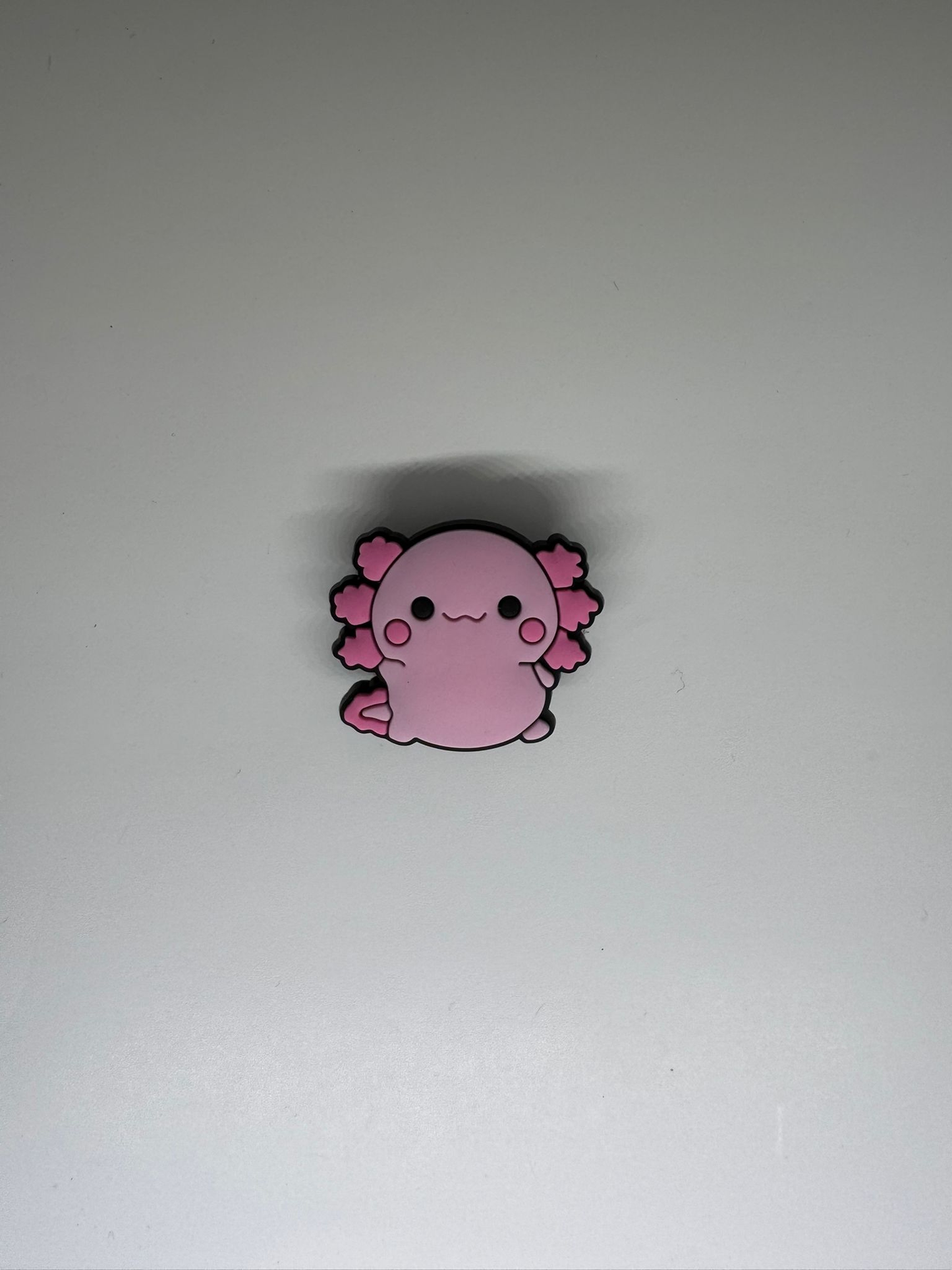 Chunky Axolotl Charm