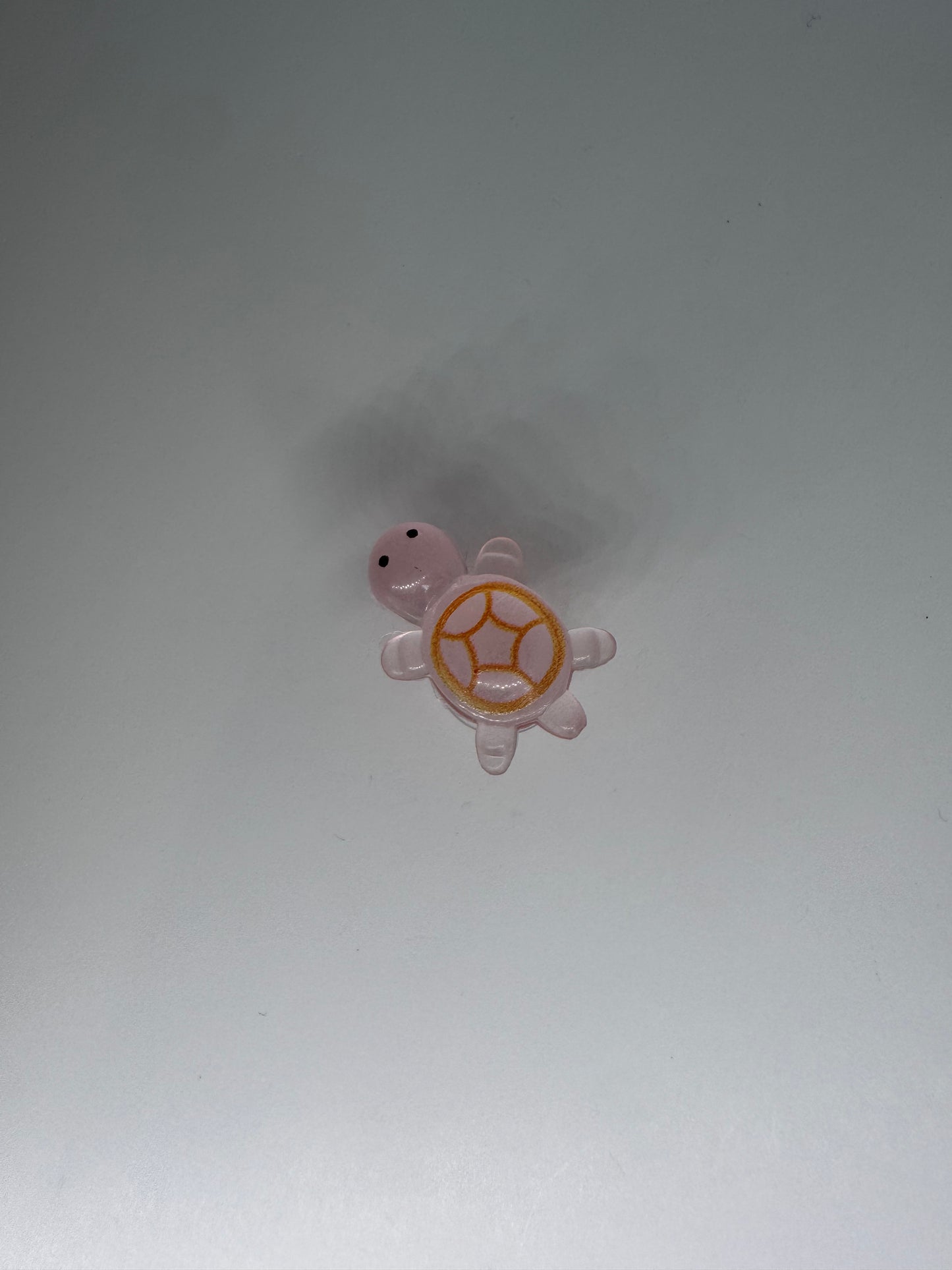 Glow in the Dark Turtle
