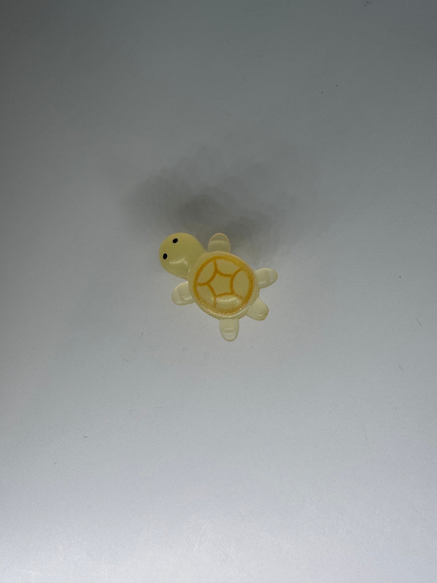 Glow in the Dark Turtle