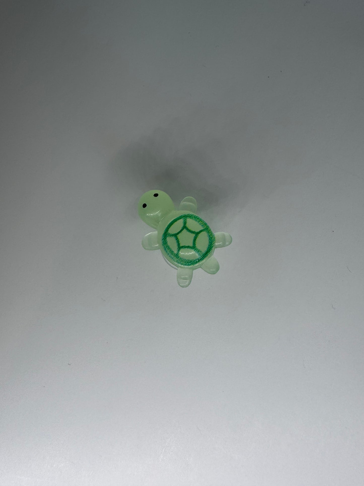 Glow in the Dark Turtle