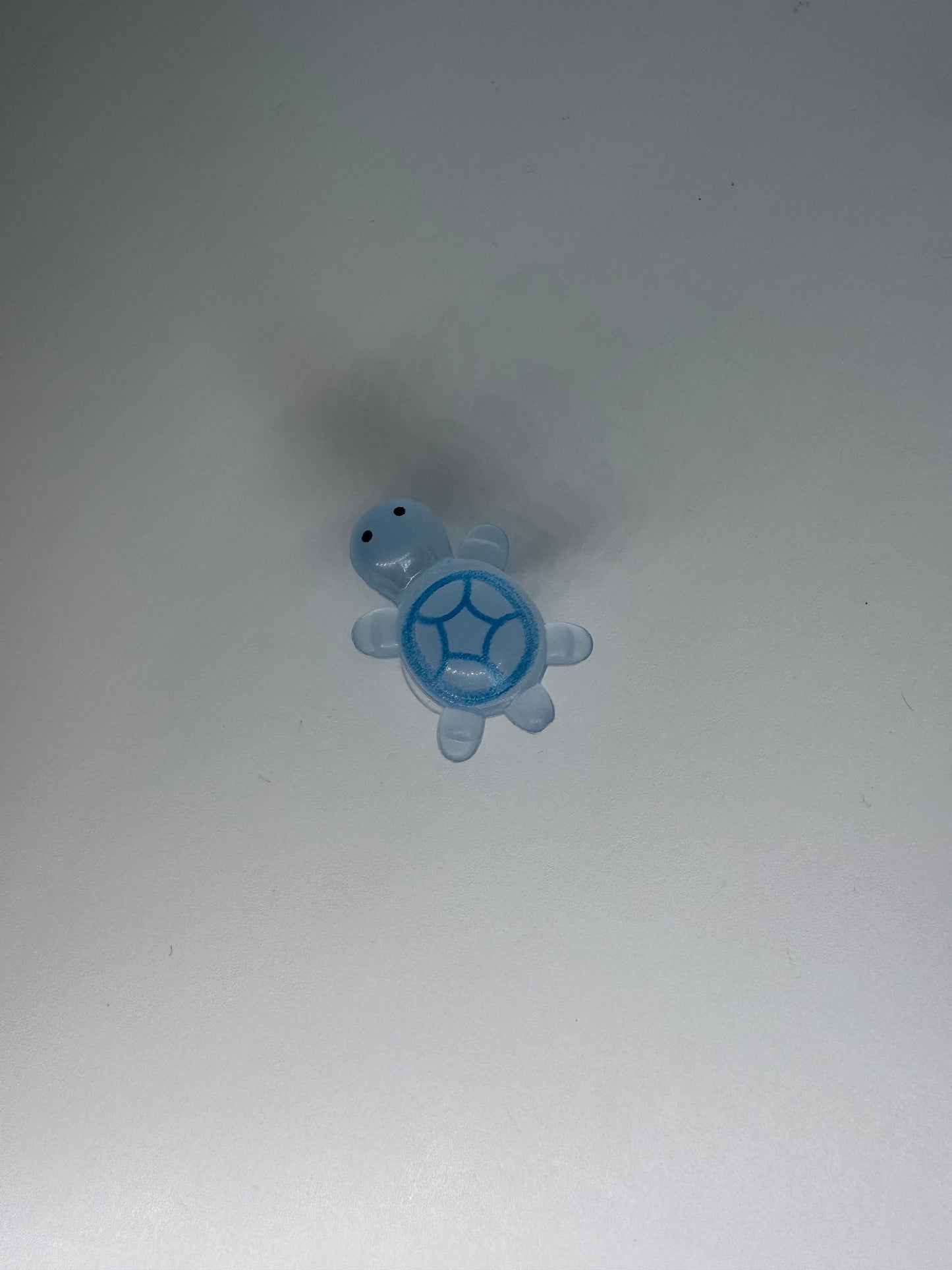 Glow in the Dark Turtle