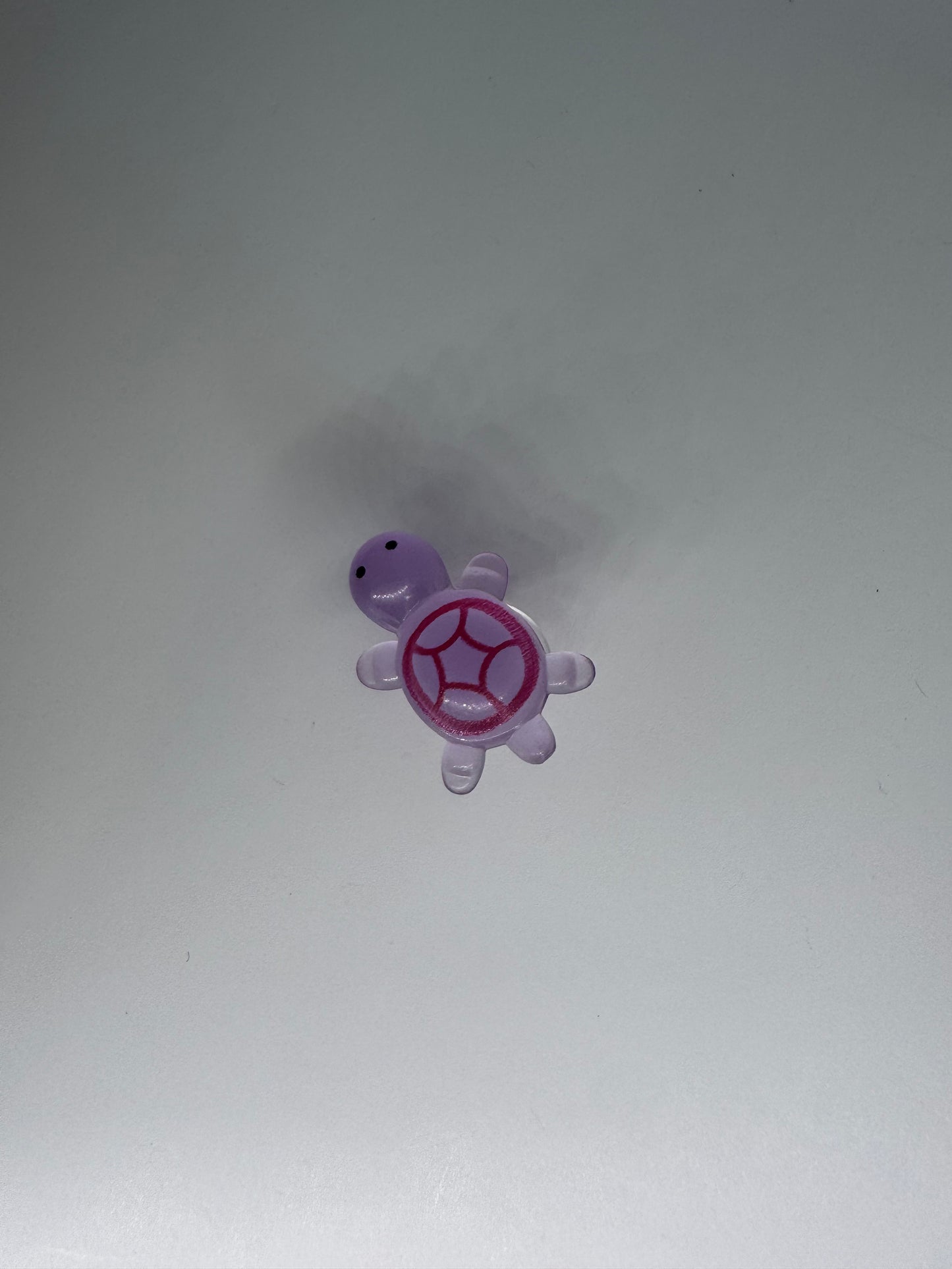 Glow in the Dark Turtle