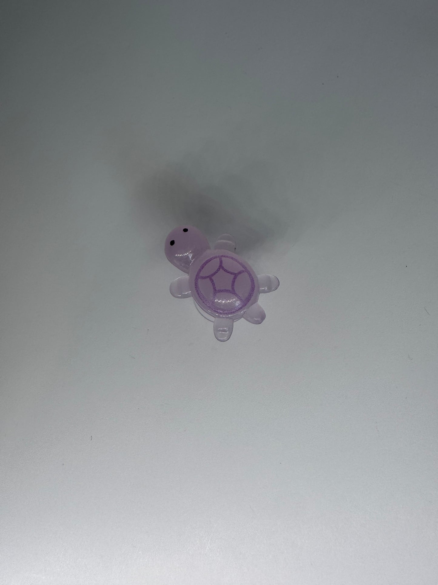 Glow in the Dark Turtle