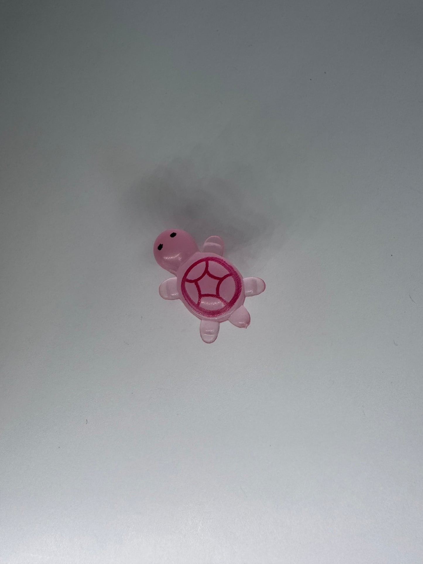Glow in the Dark Turtle