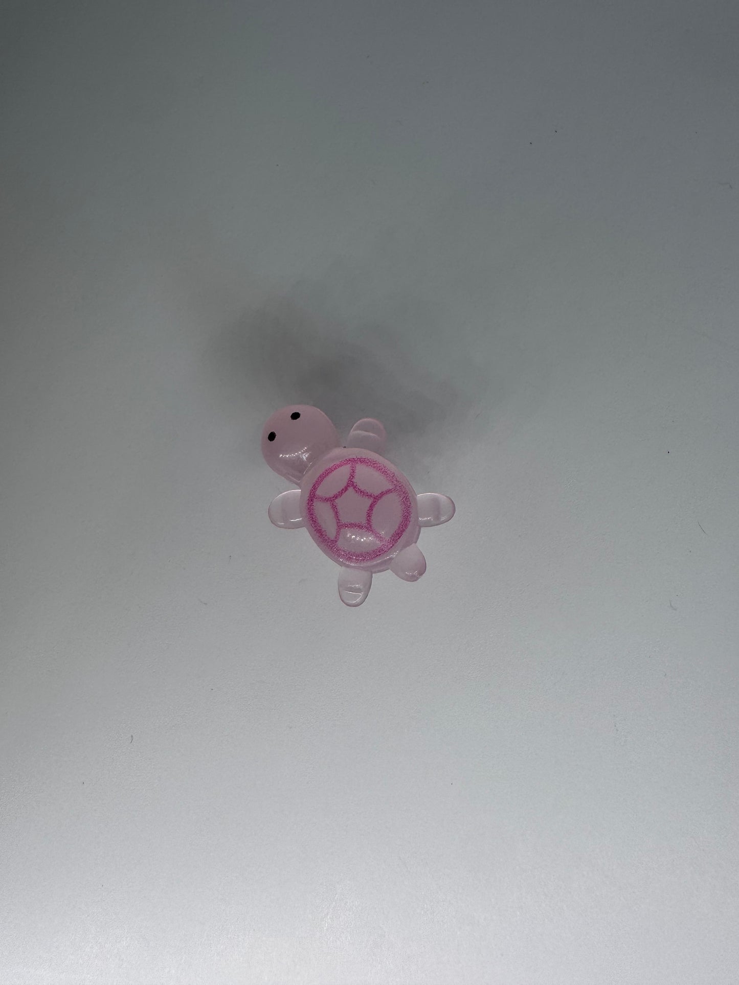 Glow in the Dark Turtle