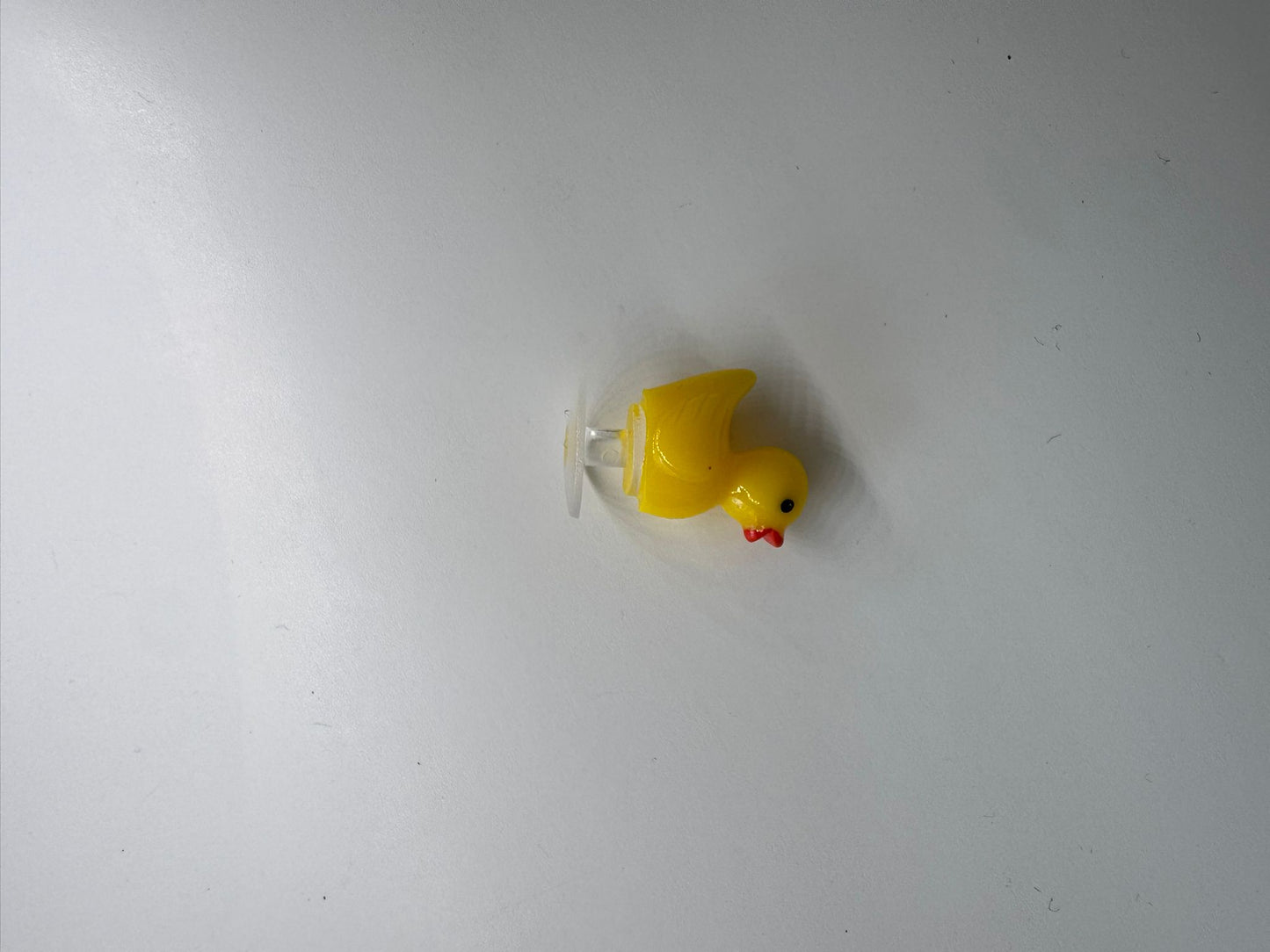 Duck Charm