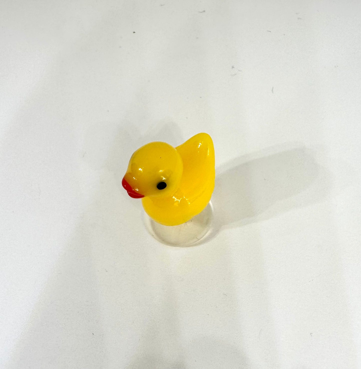 Duck Charm