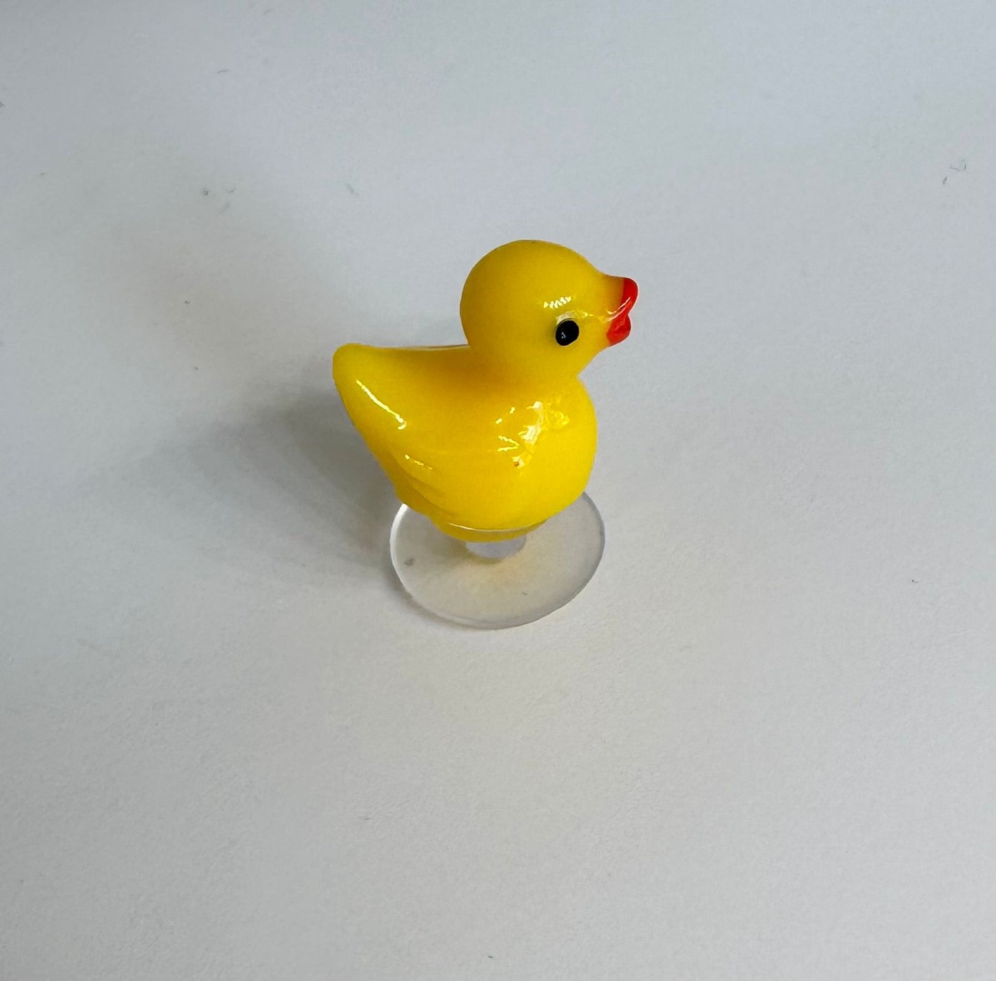 Duck Charm