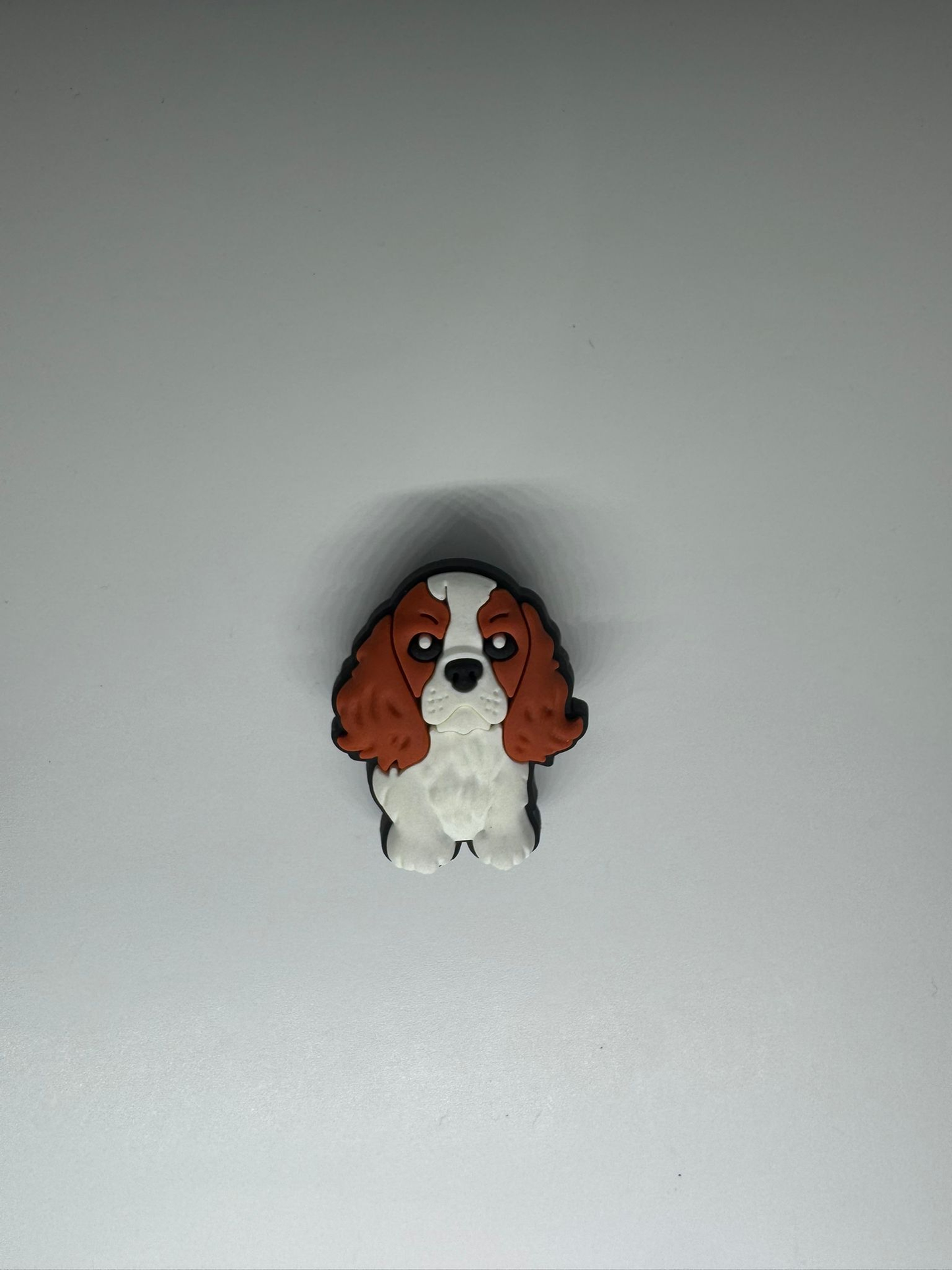 Cavalier King Charles Spaniel Charm
