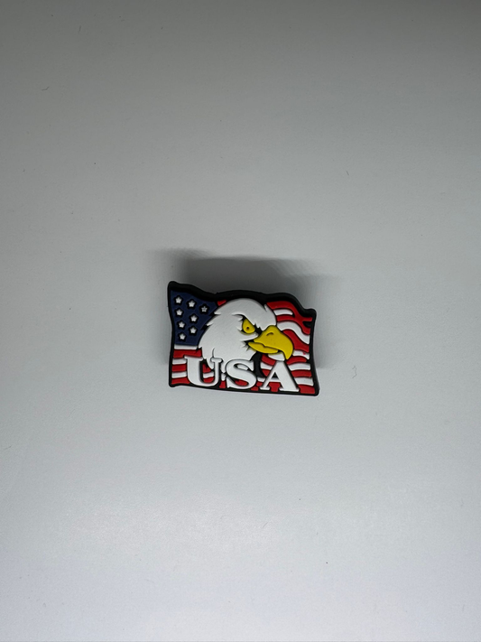 USA Eagle Charm