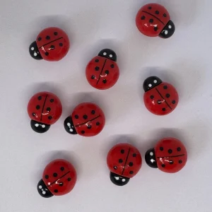 Homecrafted Lady Bug Charm