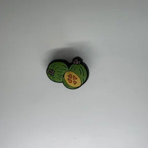 Feijoa Charm