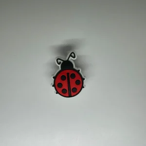 Ladybug Charm