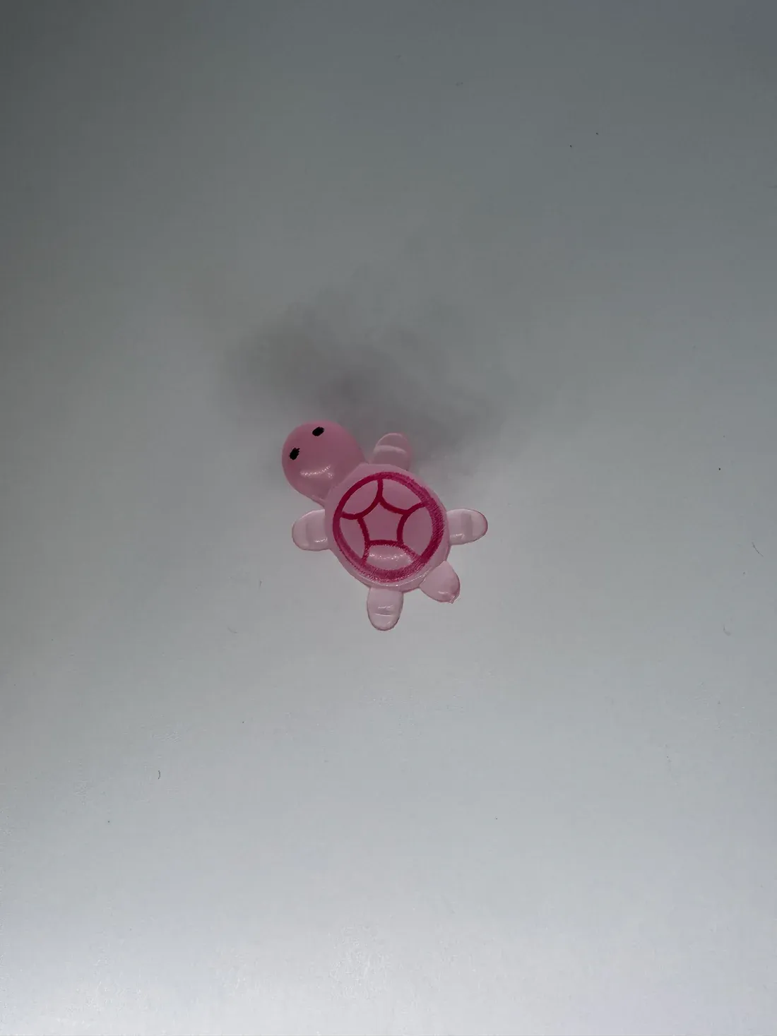 Glow in the Dark Turtle - Image 3