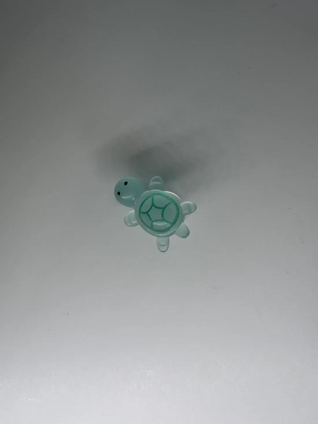 Glow in the Dark Turtle - Image 8