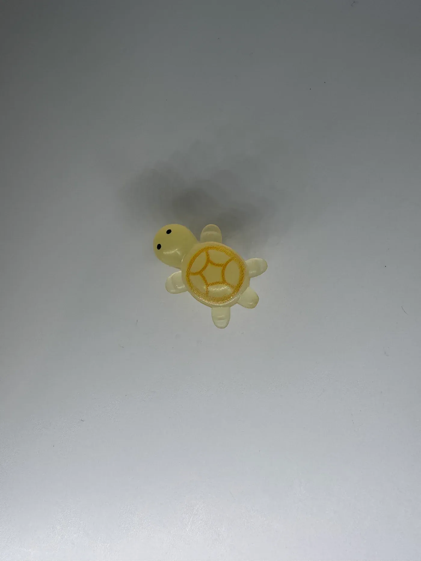 Glow in the Dark Turtle - Image 5