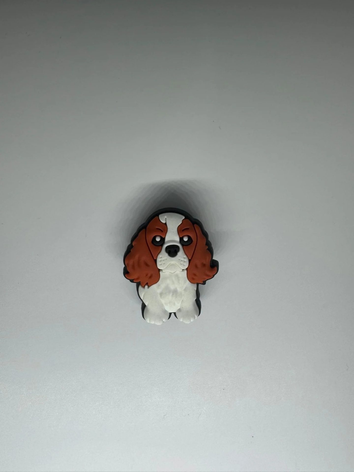 Cavalier King Charles Spaniel Pup Charm