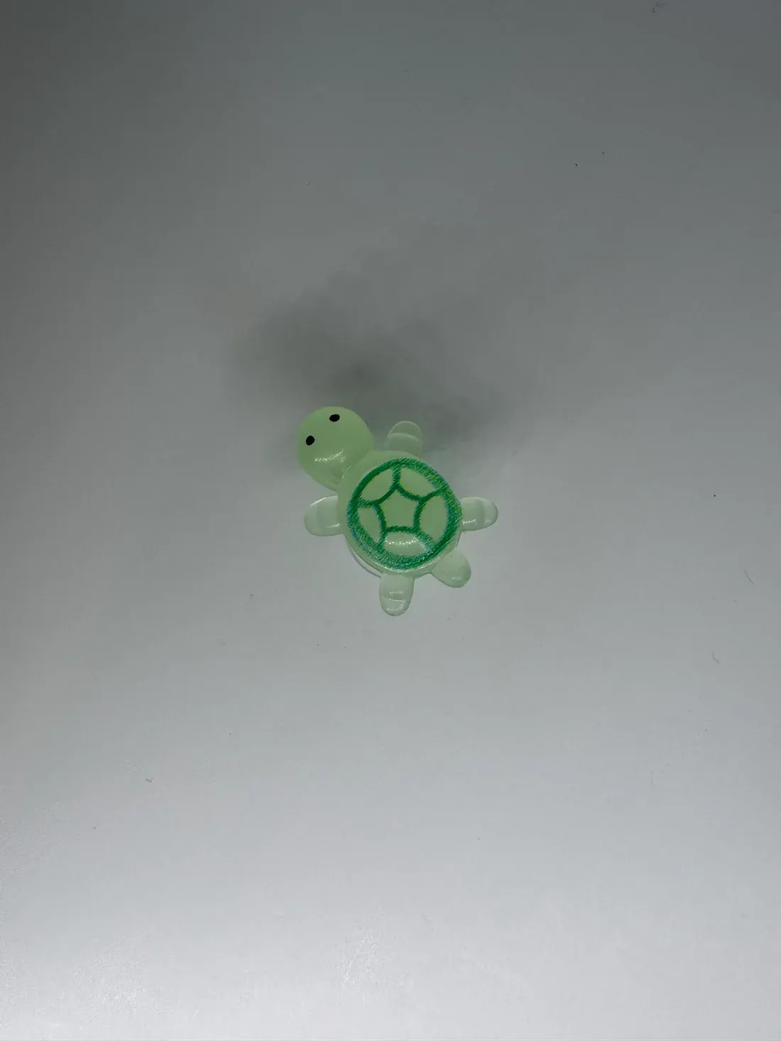 Glow in the Dark Turtle - Image 11